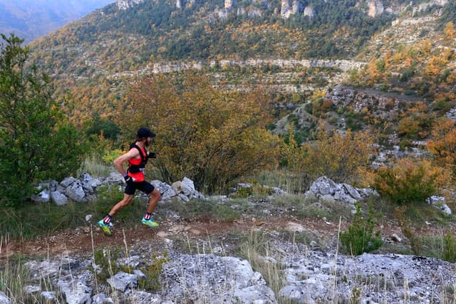Festival des Templiers 2015