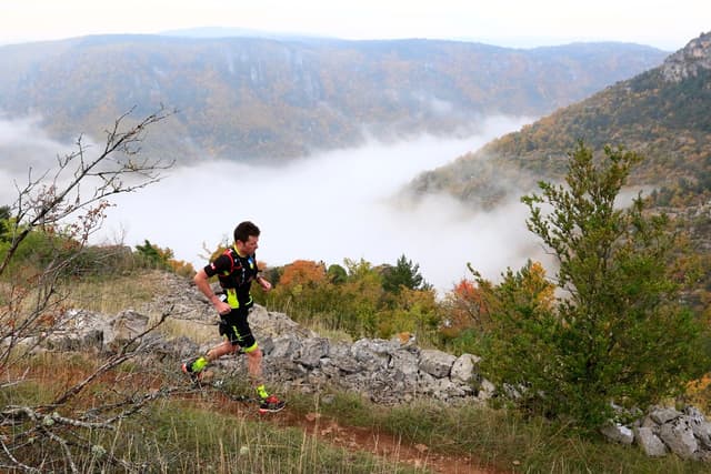 Festival des Templiers 2015