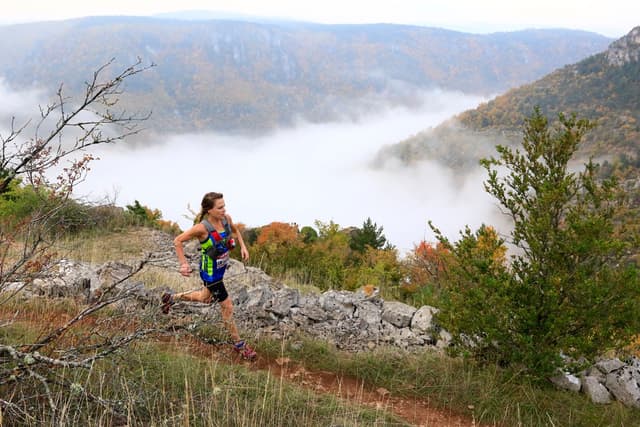 Festival des Templiers 2015