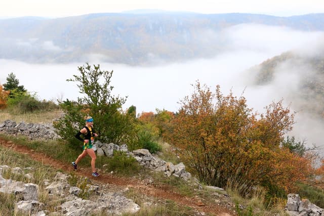 Festival des Templiers 2015