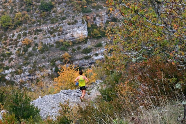 Festival des Templiers 2015