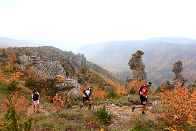 Festival des Templiers 2015