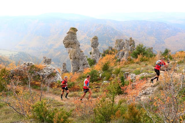 Festival des Templiers 2015