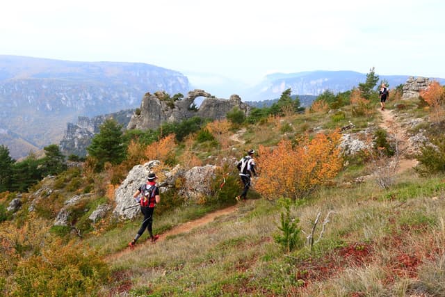 Festival des Templiers 2015