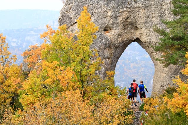 Festival des Templiers 2015
