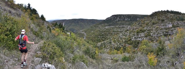 Festival des Templiers 2016