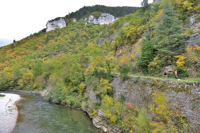 Festival des Templiers 2016