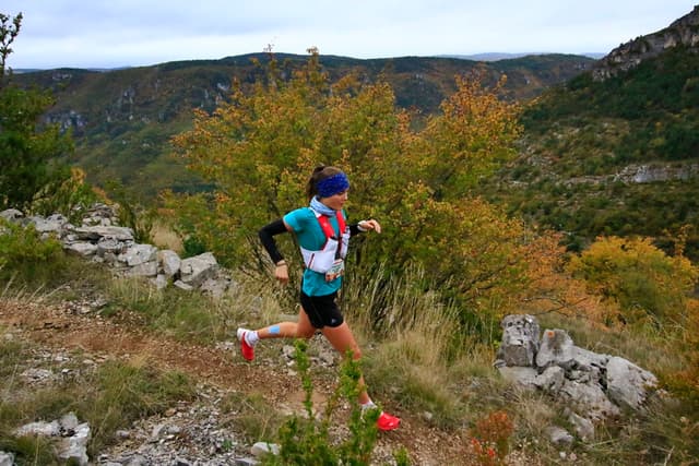 Festival des Templiers 2016