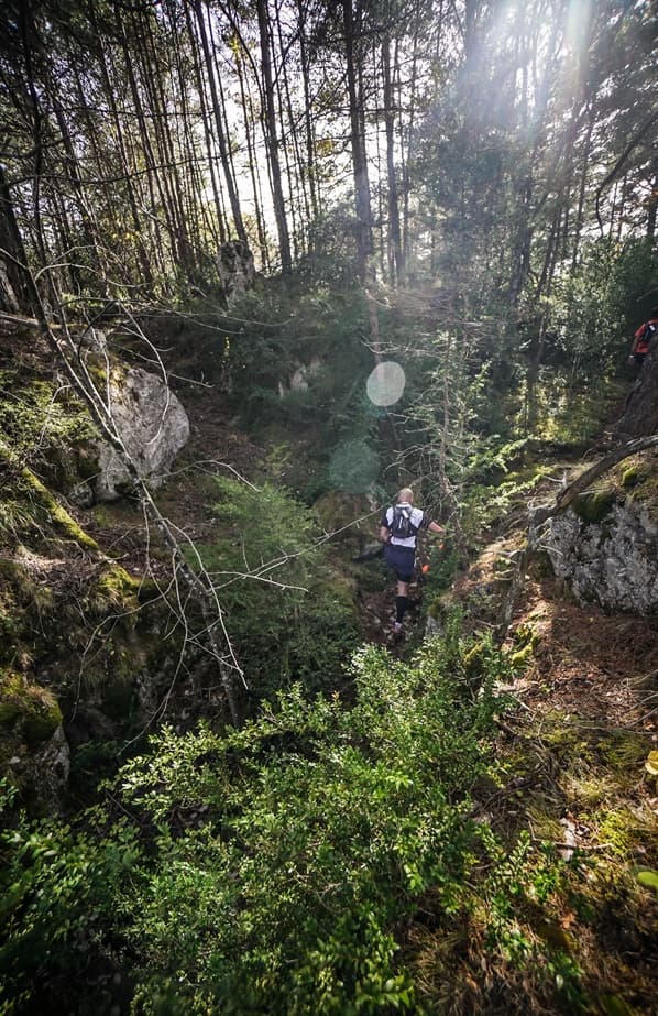 Festival des Templiers 2016