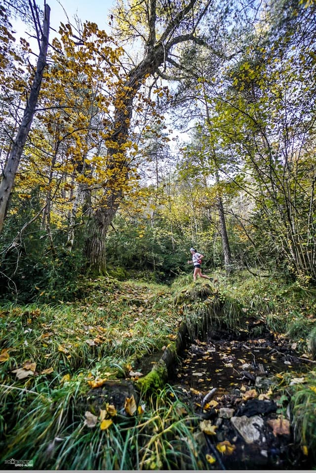 Festival des Templiers 2016