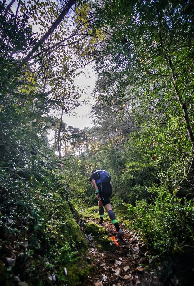 Festival des Templiers 2016