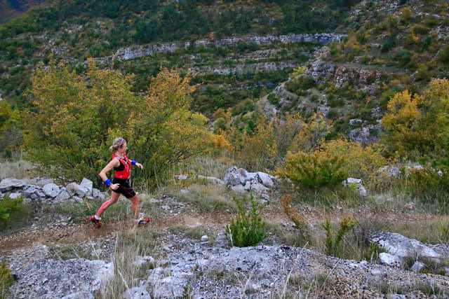 Festival des Templiers 2016