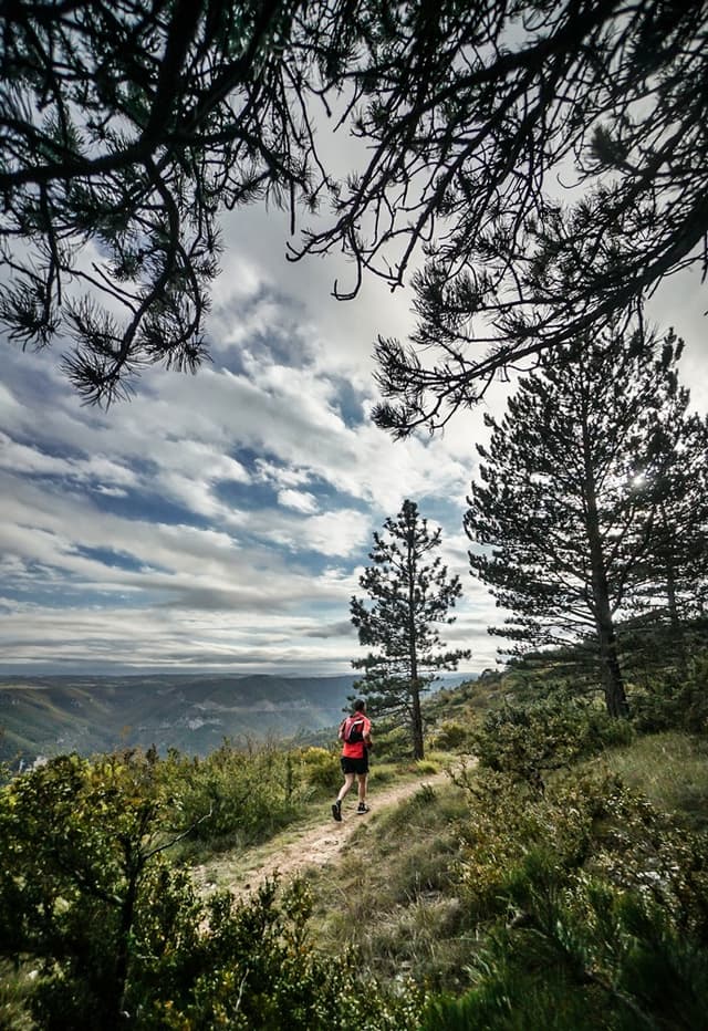 Festival des Templiers 2016