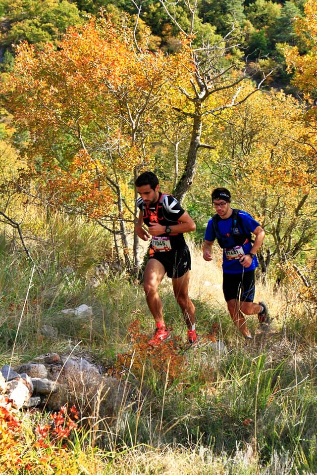 Festival des Templiers 2016