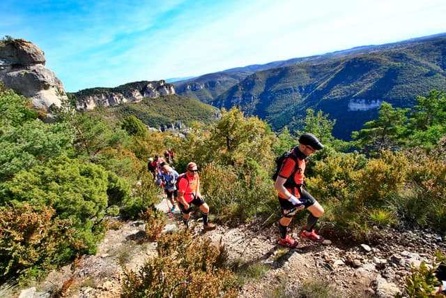 Festival des Templiers 2016