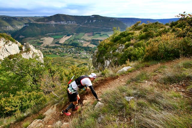 Festival des Templiers 2016