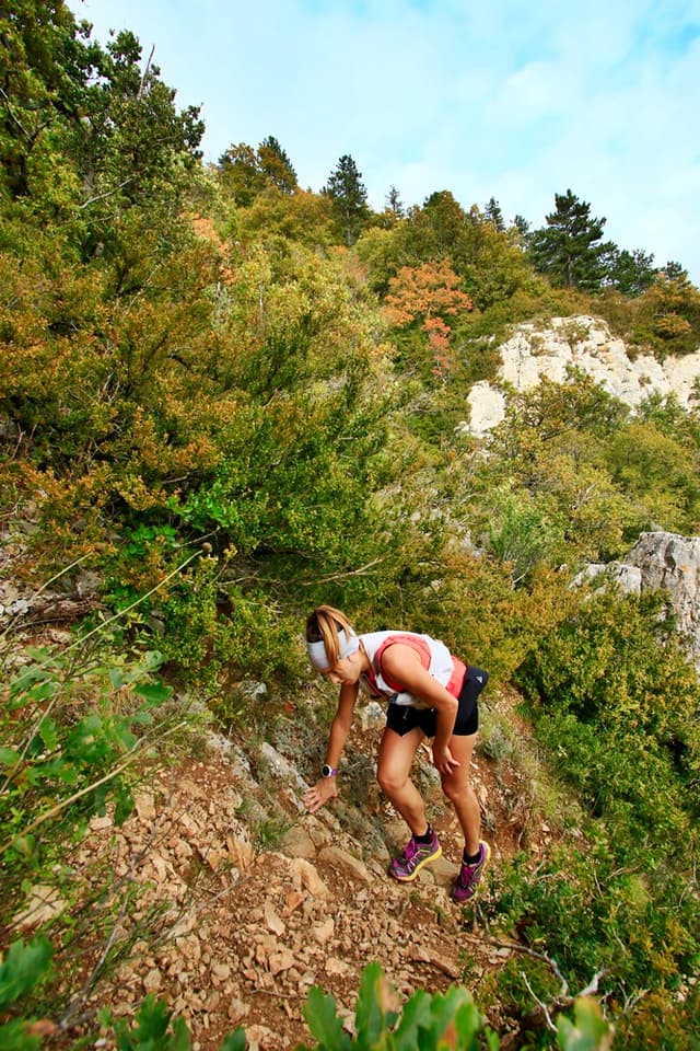 Festival des Templiers 2016
