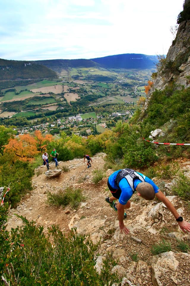 Festival des Templiers 2016