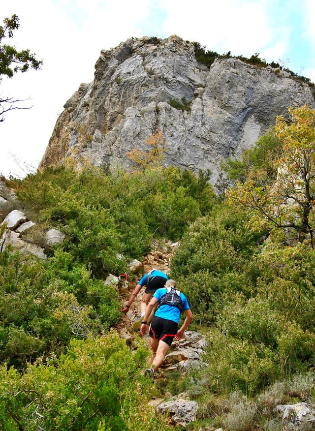 Festival des Templiers 2016