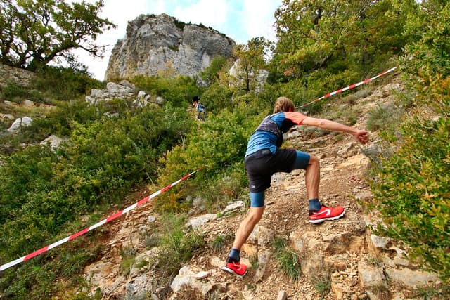 Festival des Templiers 2016
