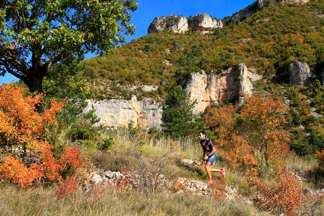 Festival des Templiers 2016