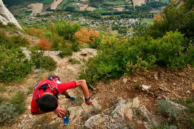 Festival des Templiers 2016