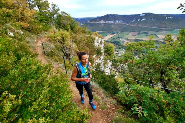 Festival des Templiers 2016