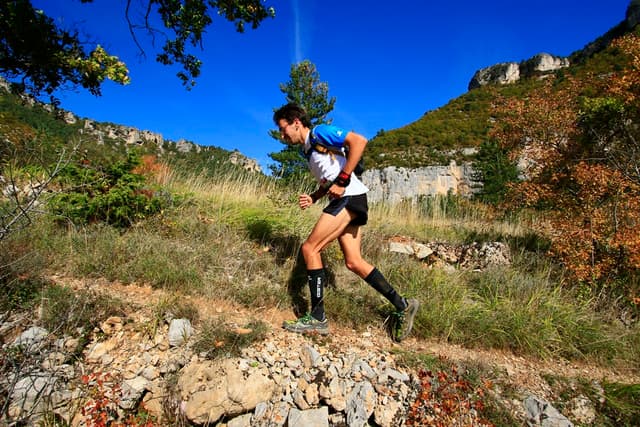 Festival des Templiers 2016