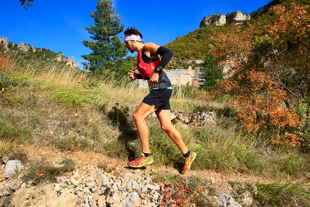 Festival des Templiers 2016