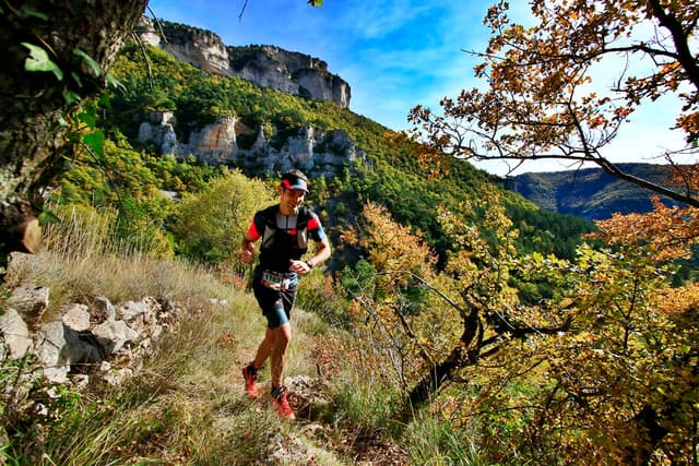 Festival des Templiers 2016