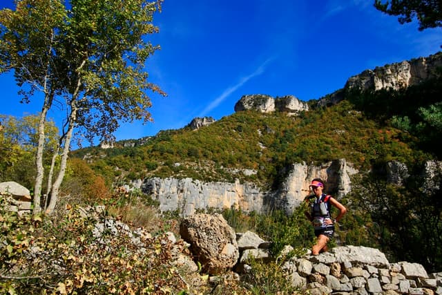 Festival des Templiers 2016
