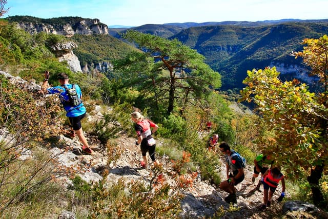 Festival des Templiers 2016