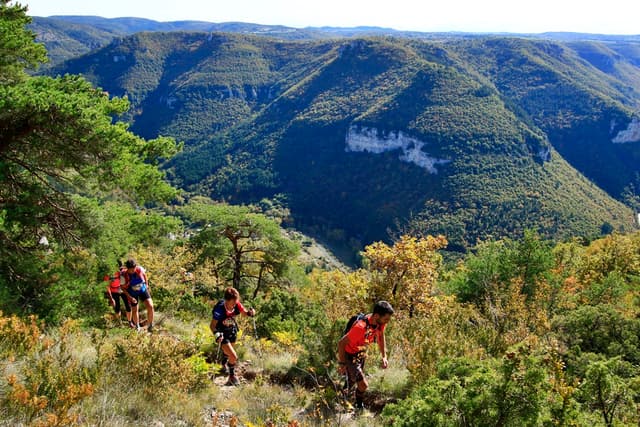 Festival des Templiers 2016