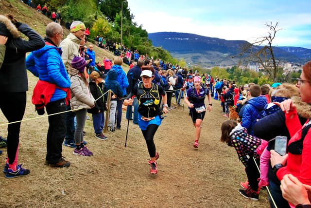 Festival des Templiers 2016