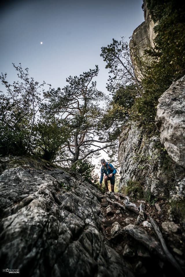 Festival des Templiers 2016