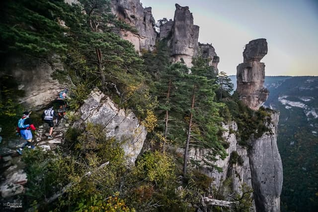 Festival des Templiers 2016