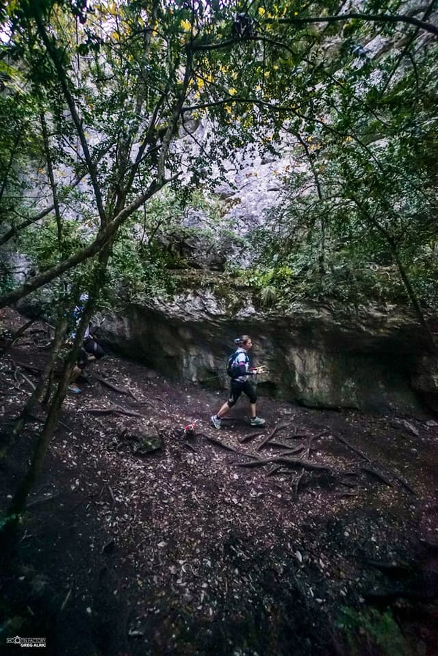 Festival des Templiers 2016