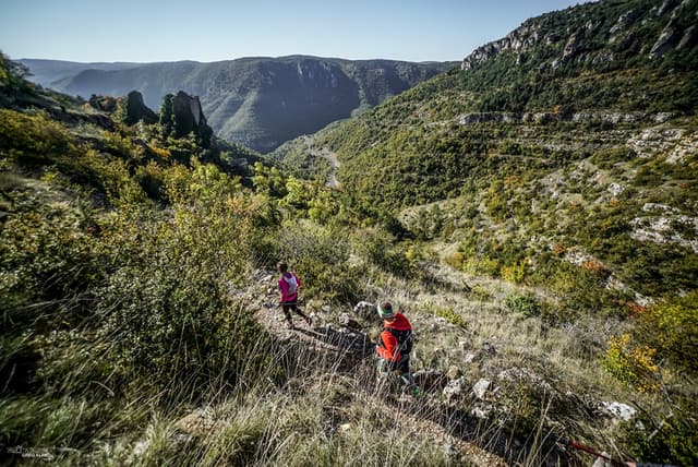Festival des Templiers 2016