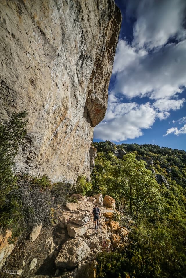 Festival des Templiers 2016