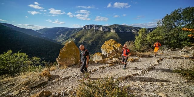 Festival des Templiers 2016