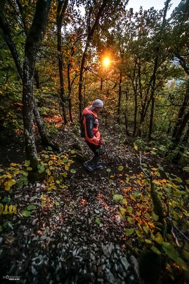 Festival des Templiers 2016