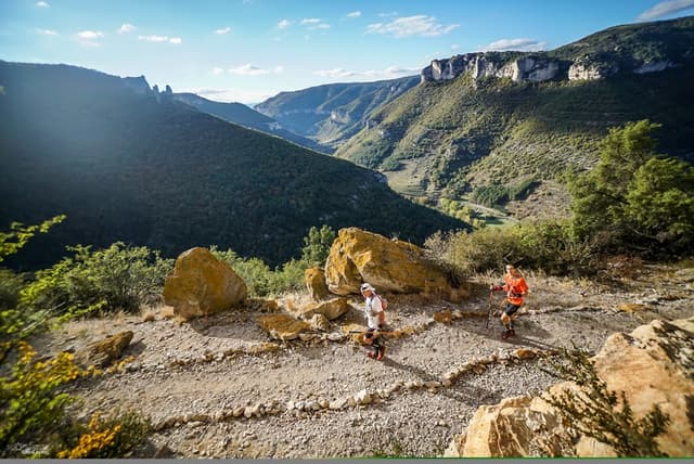 Festival des Templiers 2016