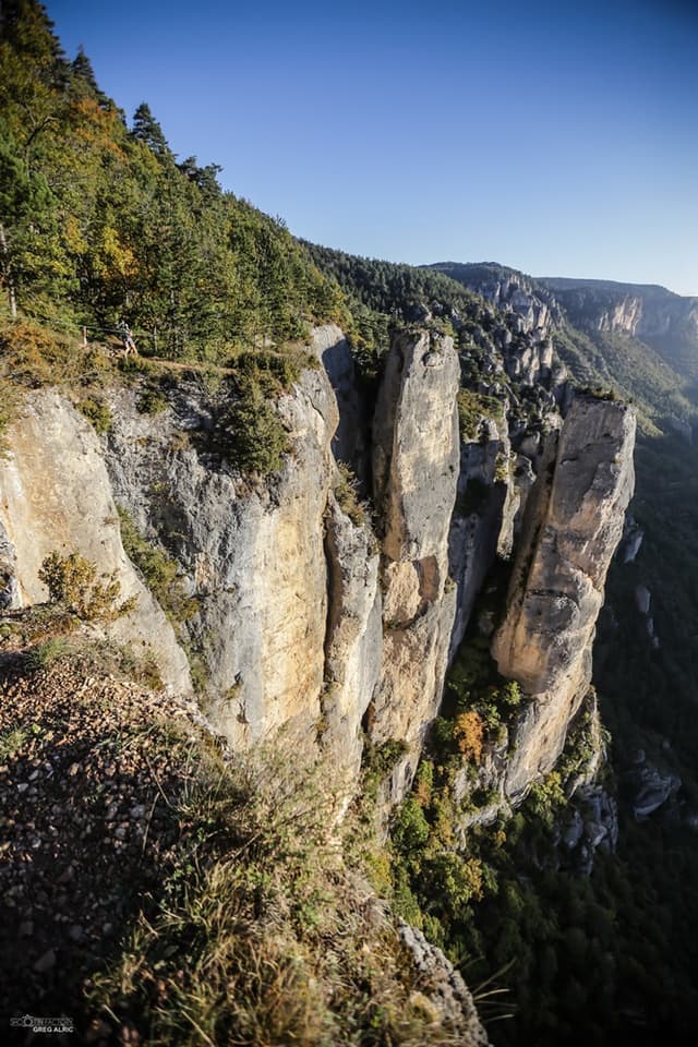 Festival des Templiers 2016