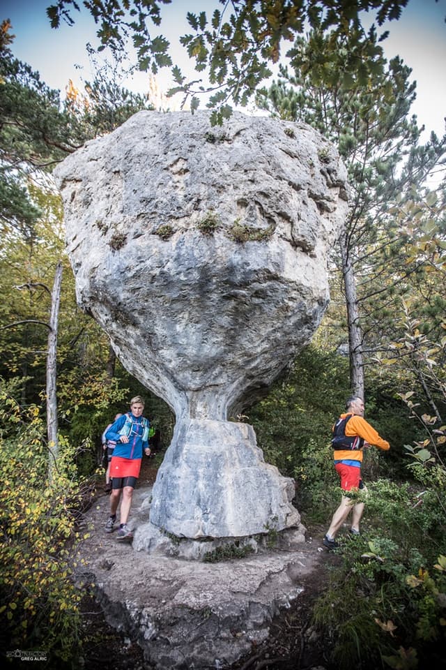 Festival des Templiers 2016