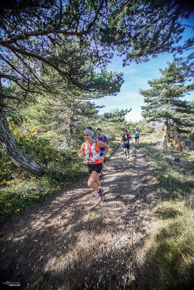 Festival des Templiers 2016
