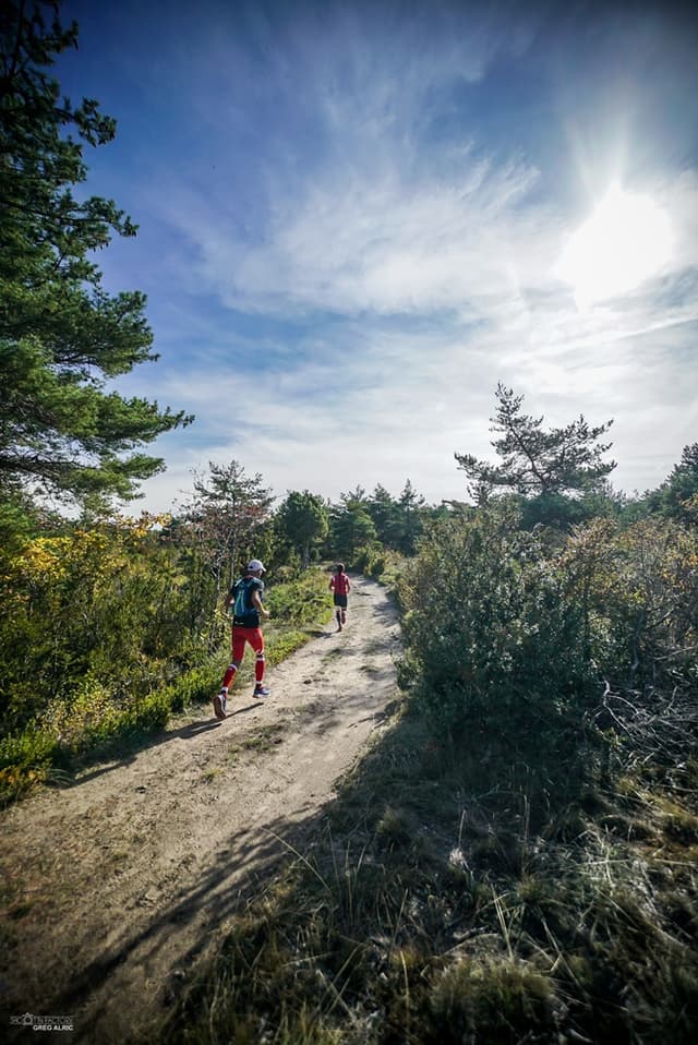 Festival des Templiers 2016