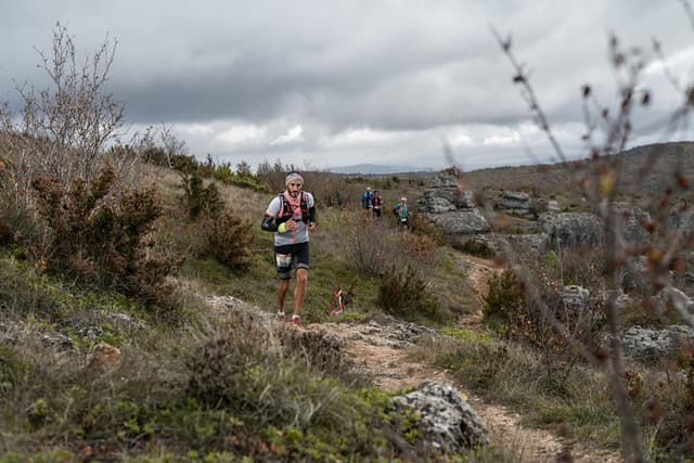 Festival des Templiers 2017