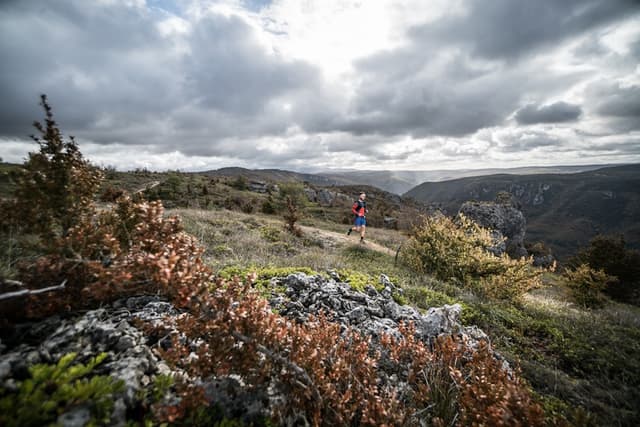 Festival des Templiers 2017