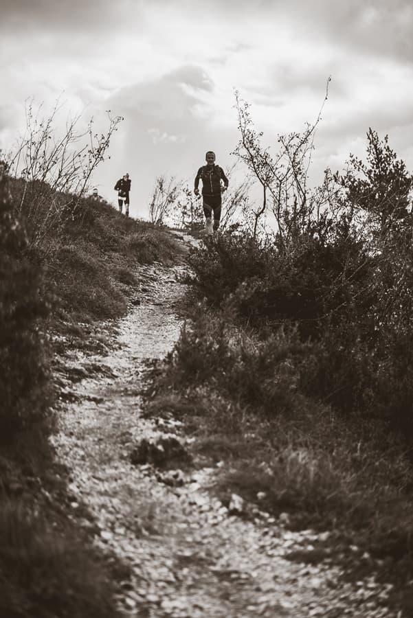 Festival des Templiers 2017