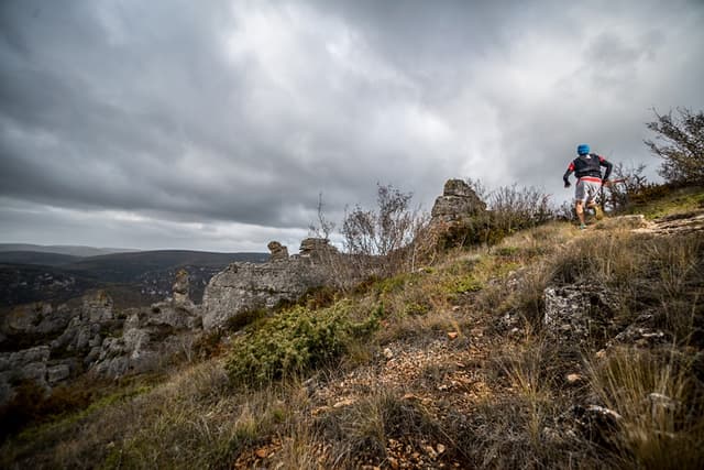 Festival des Templiers 2017